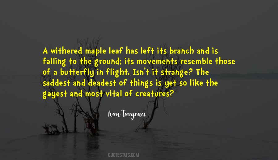 Quotes About Maple Leaf #17668