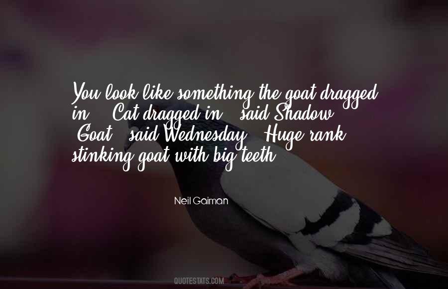 Mr Wednesday Quotes #236150