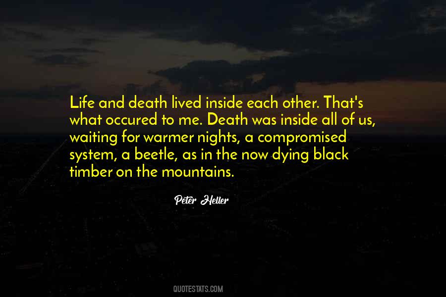 Quotes About Waiting For Death #339096