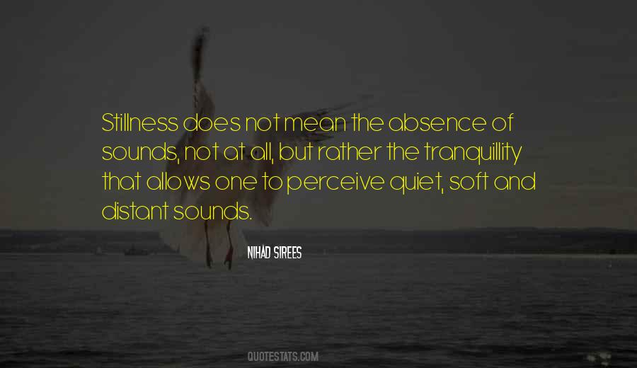 Quotes About Stillness And Quiet #1333368
