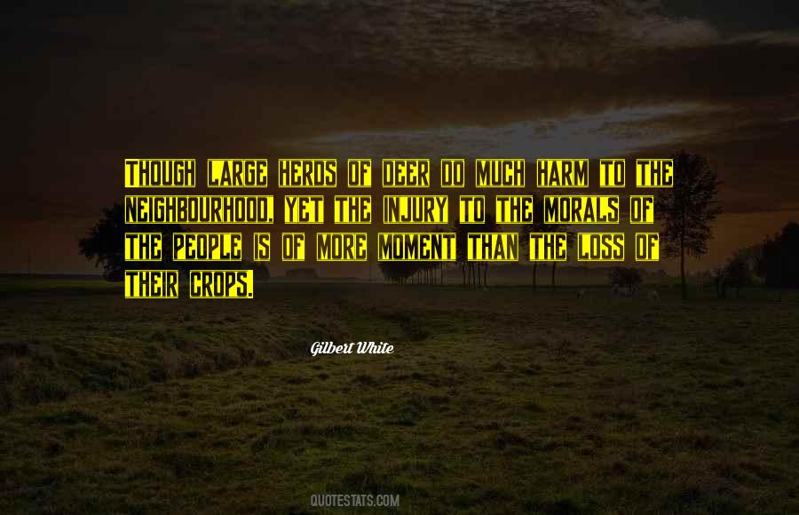 Quotes About Herds #511858