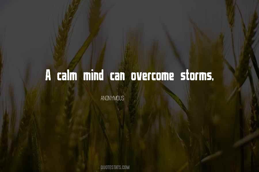 A Calm Mind Quotes #993236