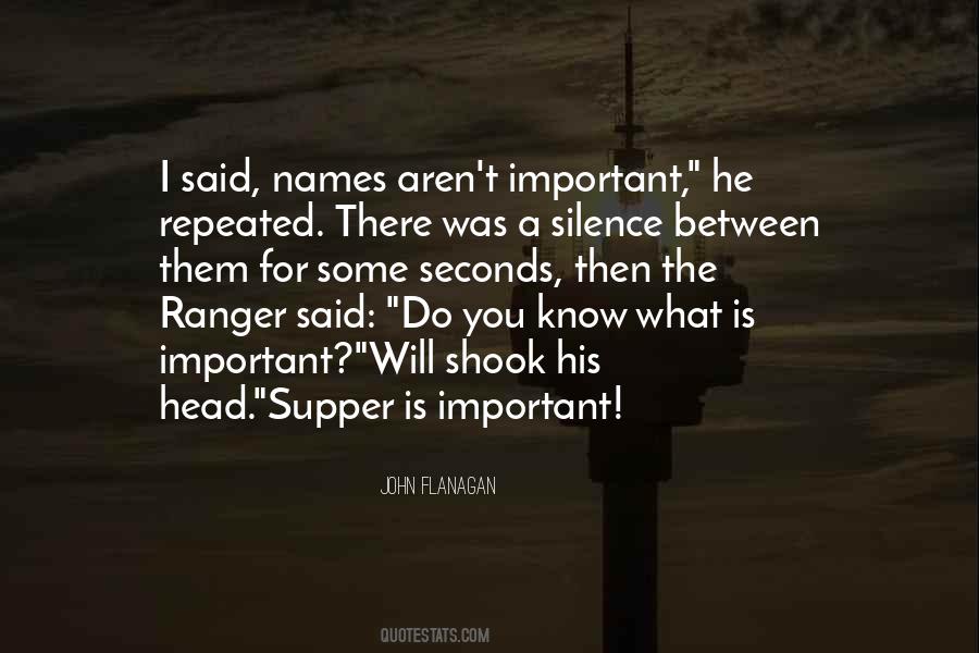 Quotes About Sport As A Unifier #1457498