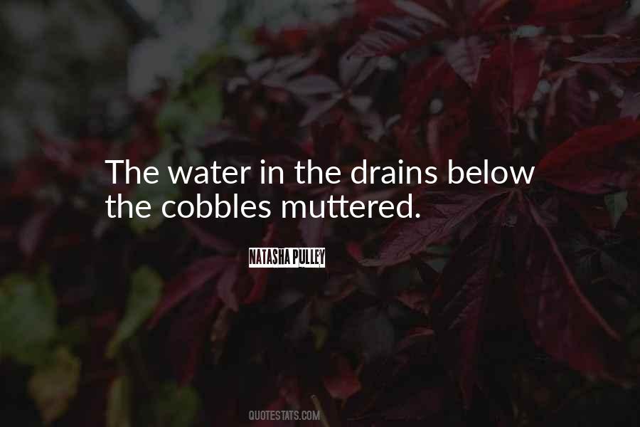 Quotes About Drains #886375