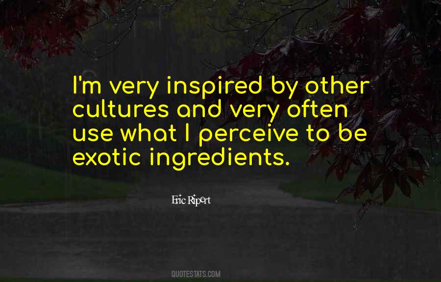 Quotes About Other Cultures #943436