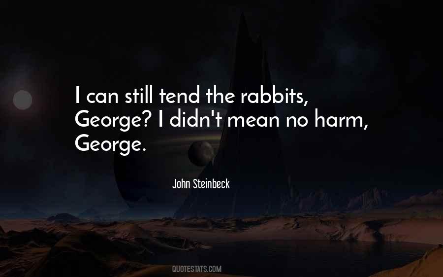 Quotes About Rabbits #1482399