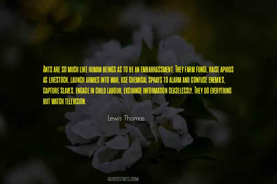 Quotes About Enemies In War #313660