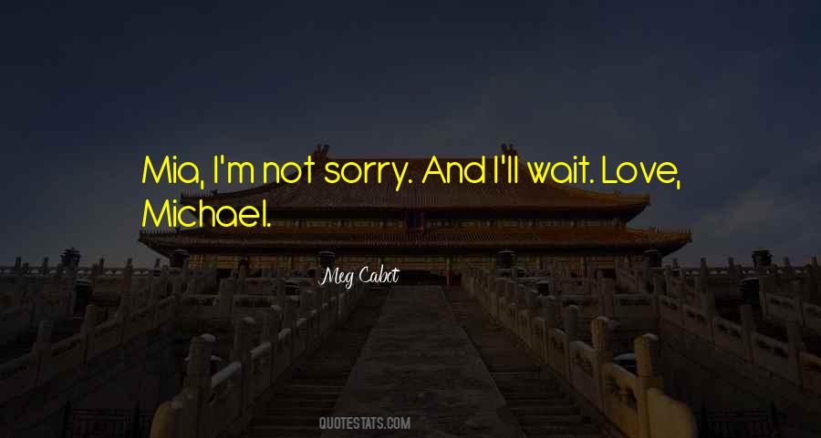 Love Sorry Quotes #259793