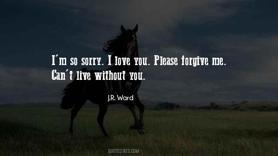 Love Sorry Quotes #426504