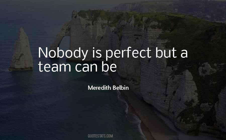 Quotes About Nobody's Perfect #41917