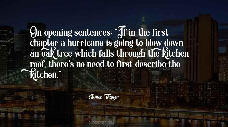 A Hurricane Quotes #846461