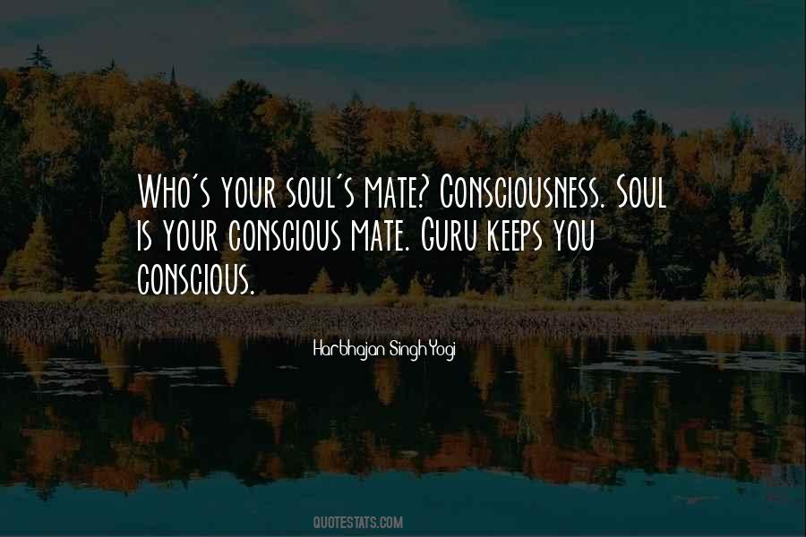 Your Soul Mate Quotes #1550288