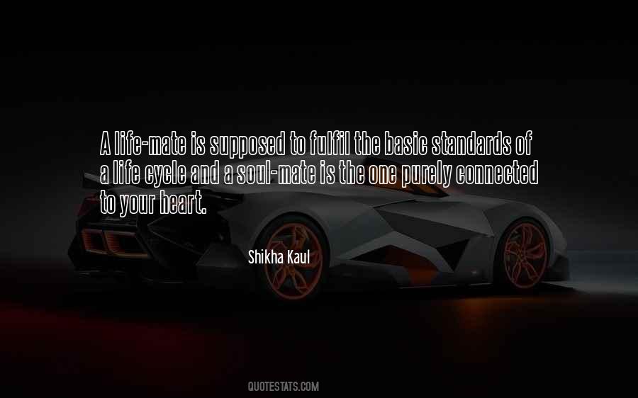 Your Soul Mate Quotes #482698