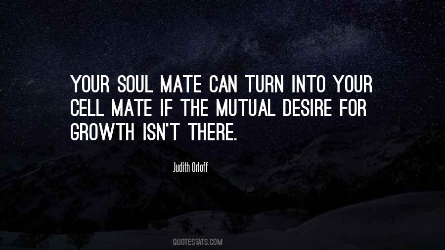 Your Soul Mate Quotes #748682