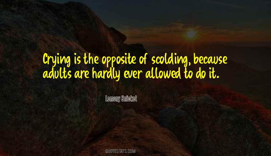 Quotes About Scolding #80009