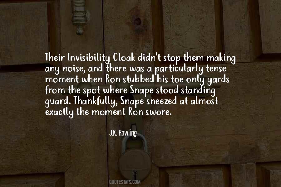 Quotes About Invisibility Cloak #1777263