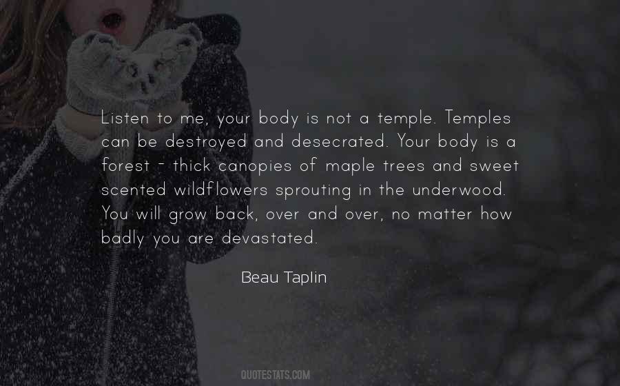 Quotes About Temples #1068693