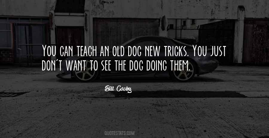 Quotes About Old Dog New Tricks #507078