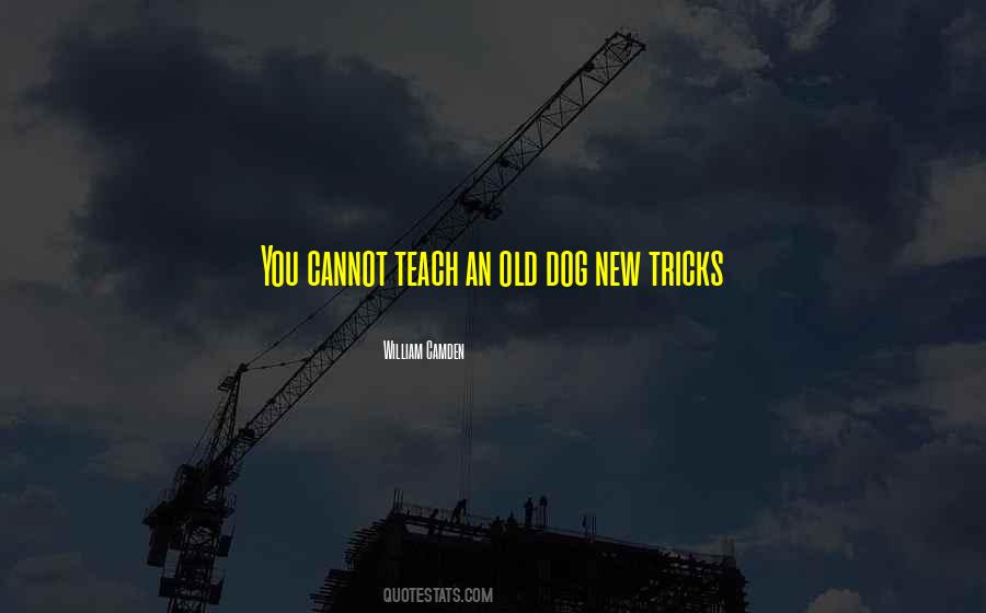 Quotes About Old Dog New Tricks #929967