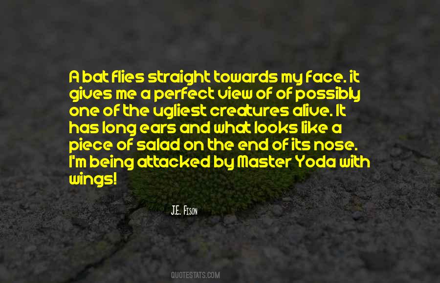 Quotes About I'm Perfect #151889