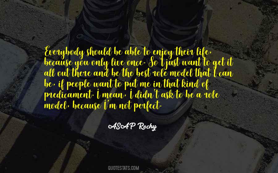 Quotes About I'm Perfect #199255