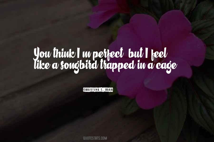 Quotes About I'm Perfect #606780