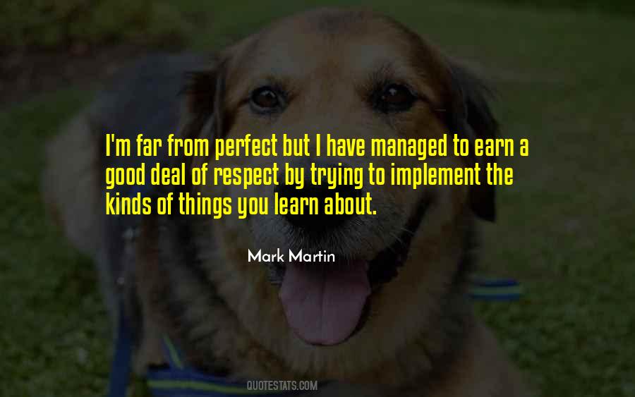 Quotes About I'm Perfect #61023