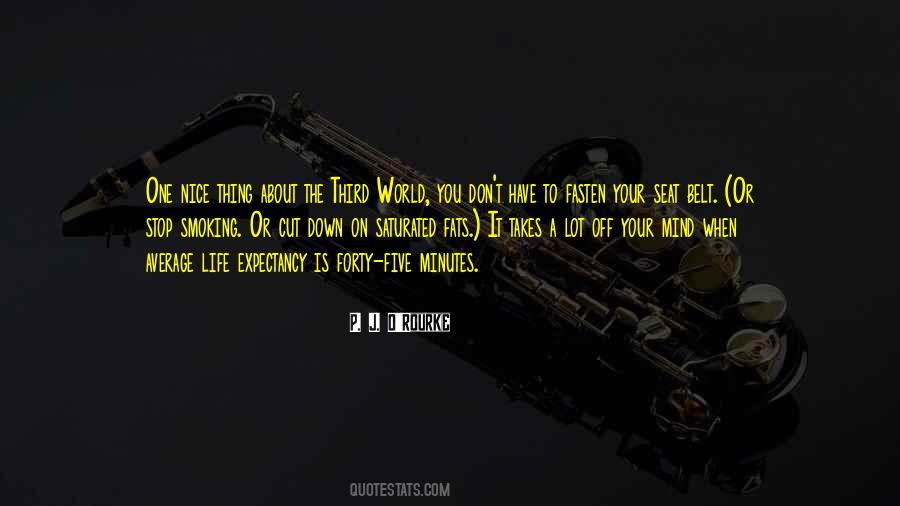 Quotes About The Third World #706140
