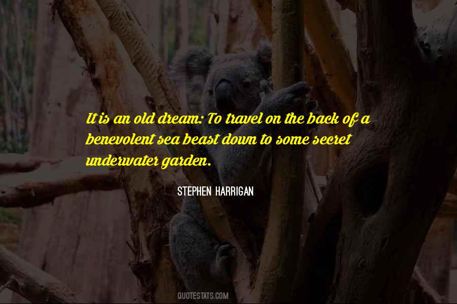 Dream Travel Quotes #430427