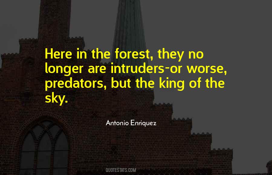 Quotes About The Forest #1018582