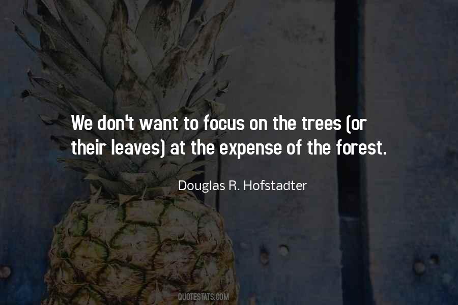 Quotes About The Forest #1167235