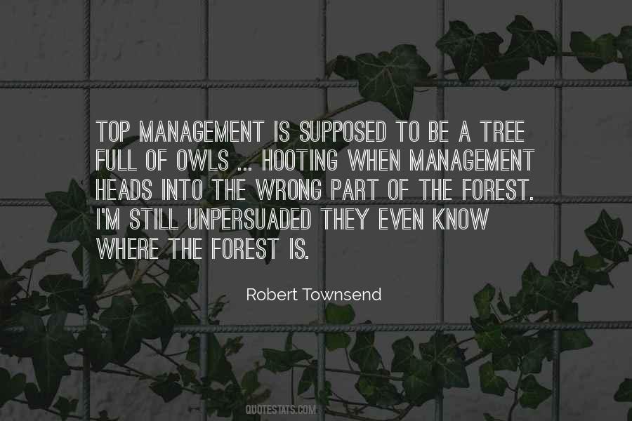 Quotes About The Forest #1171015