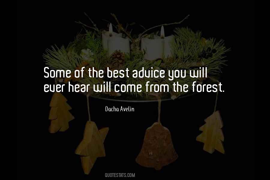 Quotes About The Forest #1262227