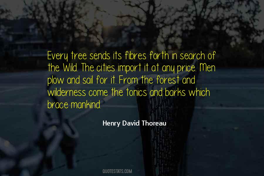 Quotes About The Forest #1287314