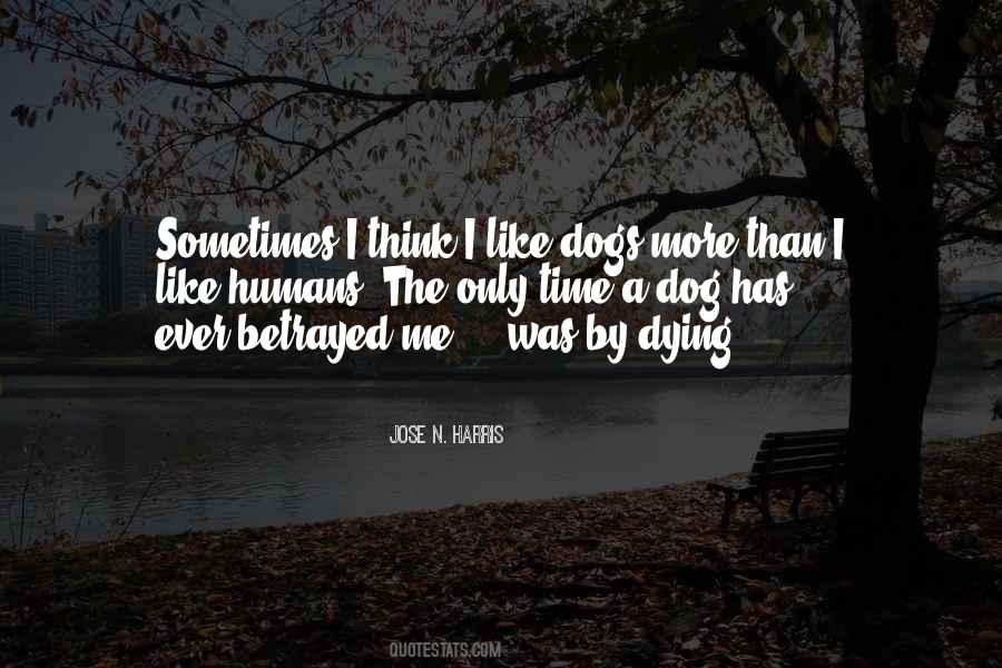 Quotes About Dogs Faithfulness #973170