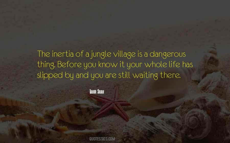 Quotes About A Jungle #211163