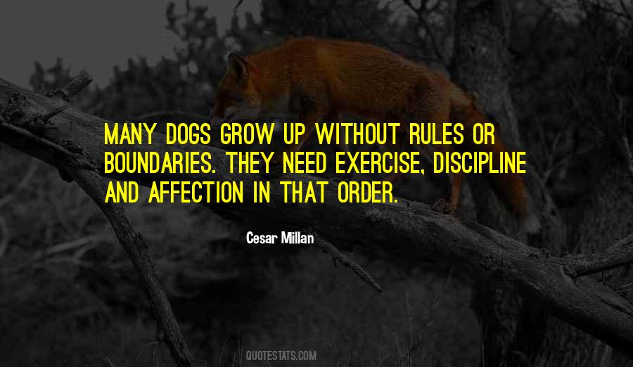 Quotes About Order And Discipline #144065