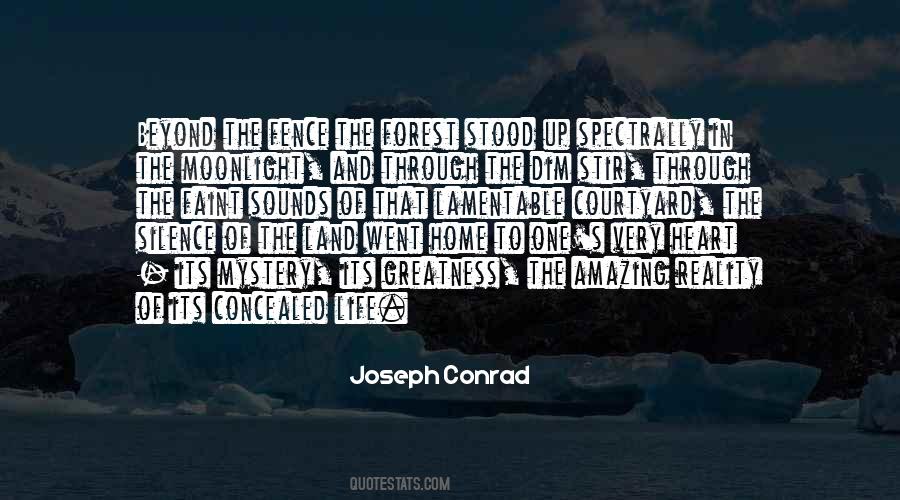 Silence In Life Quotes #414556