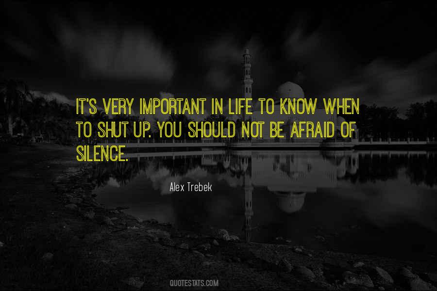 Silence In Life Quotes #76629
