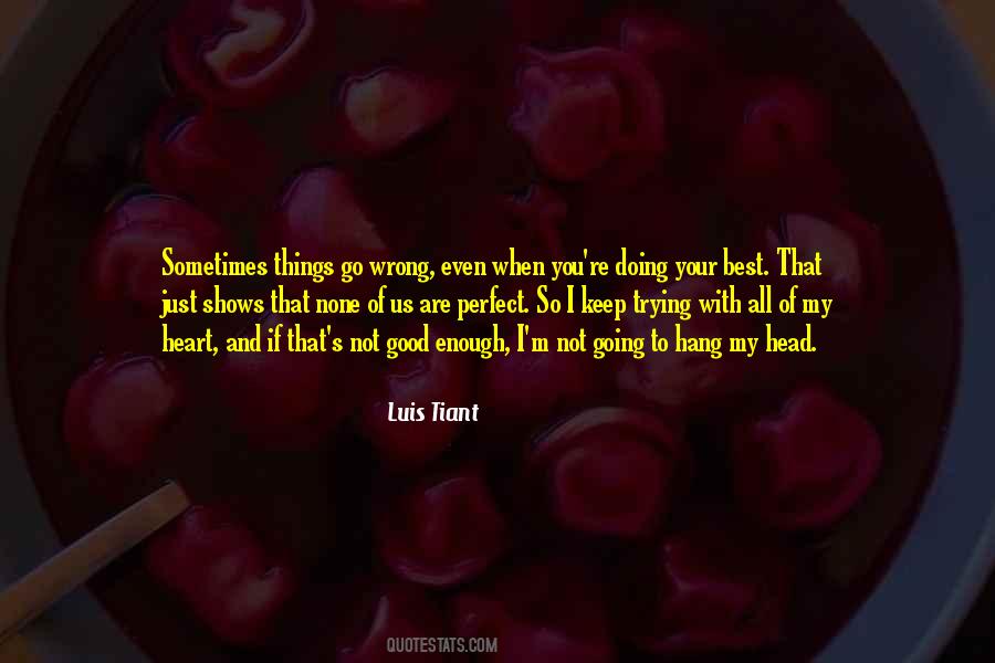 Quotes About Things Going Wrong #750627