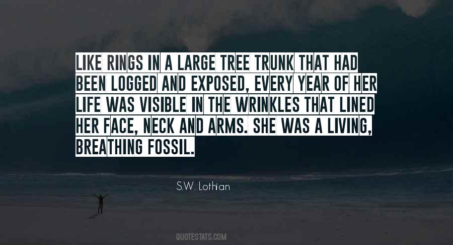 Quotes About Tree Rings #974175