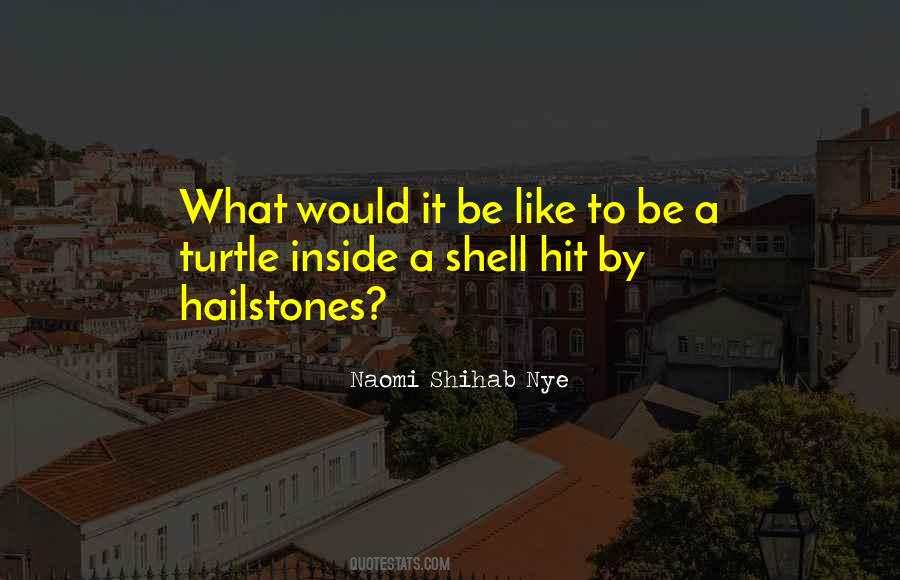 Quotes About Hailstones #348242