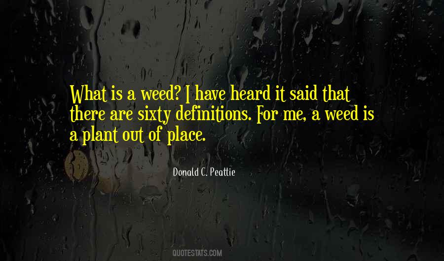 Quotes About Out Of Place #1170444