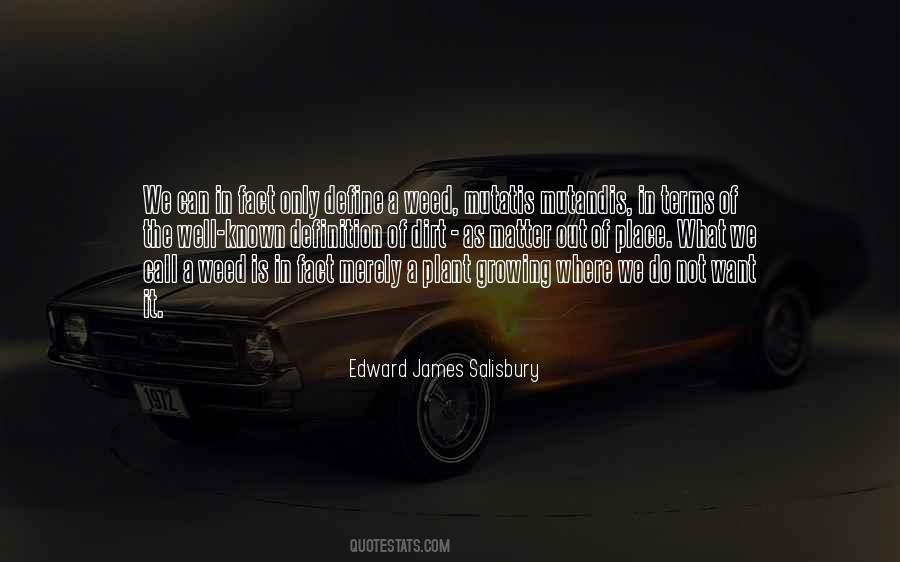 Quotes About Out Of Place #286431
