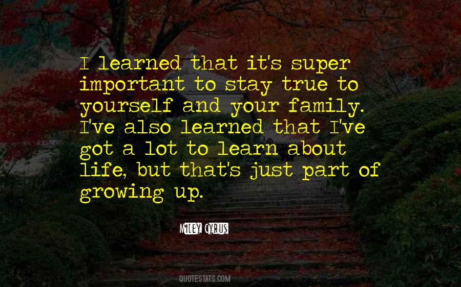Quotes About True Family #138879