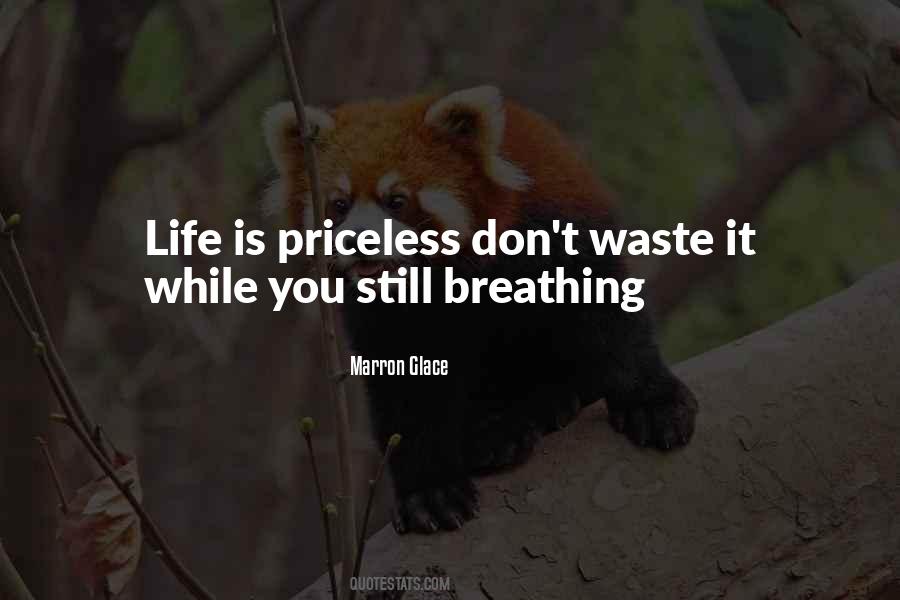 Quotes About Priceless Time #1397756