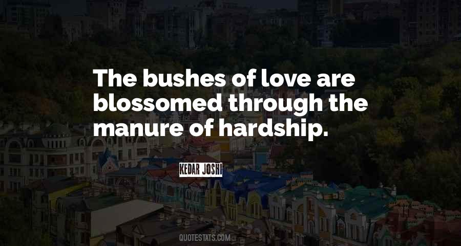 Love Hardship Quotes #482114