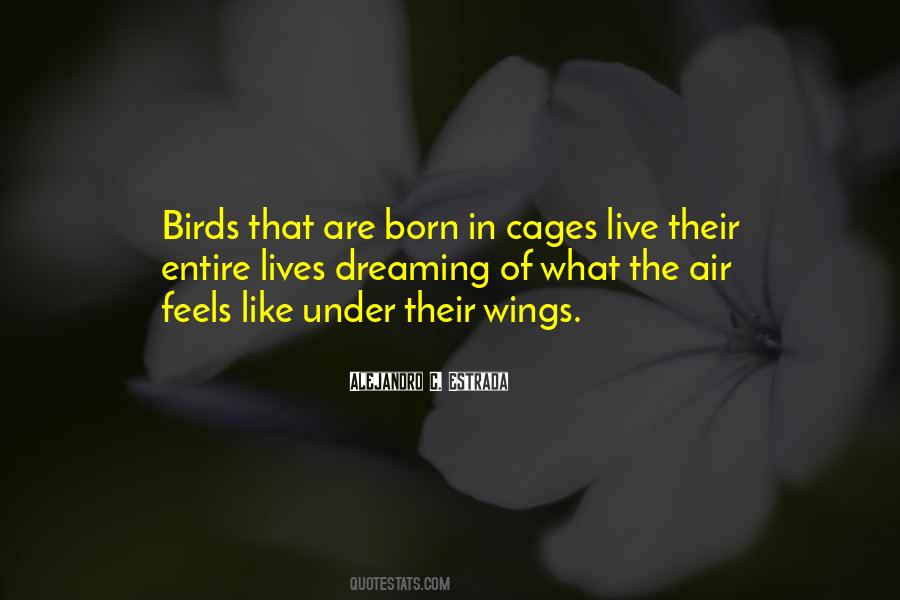 Quotes About Birds In Cages #441583