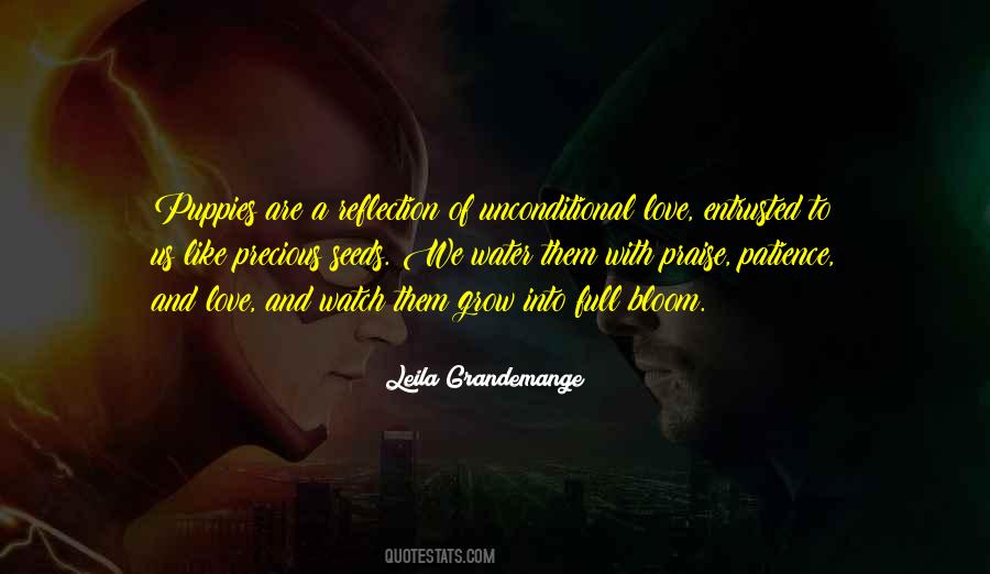 Quotes About Unconditional Love #1172459