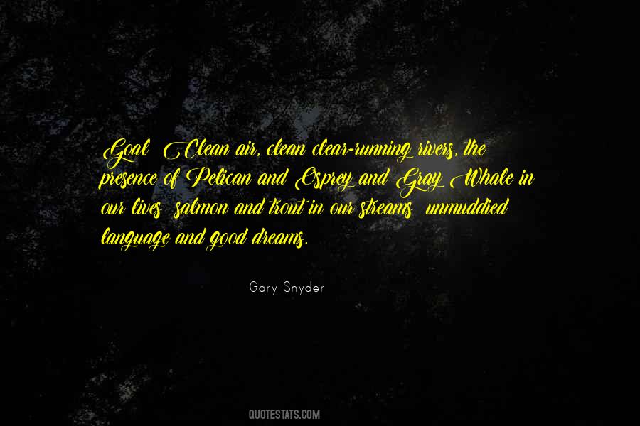 Quotes About Running Streams #75831